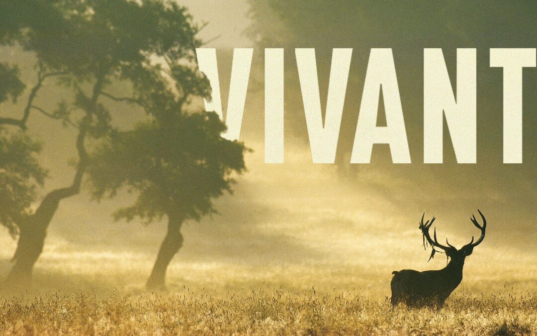 « VIVANT » – France 2