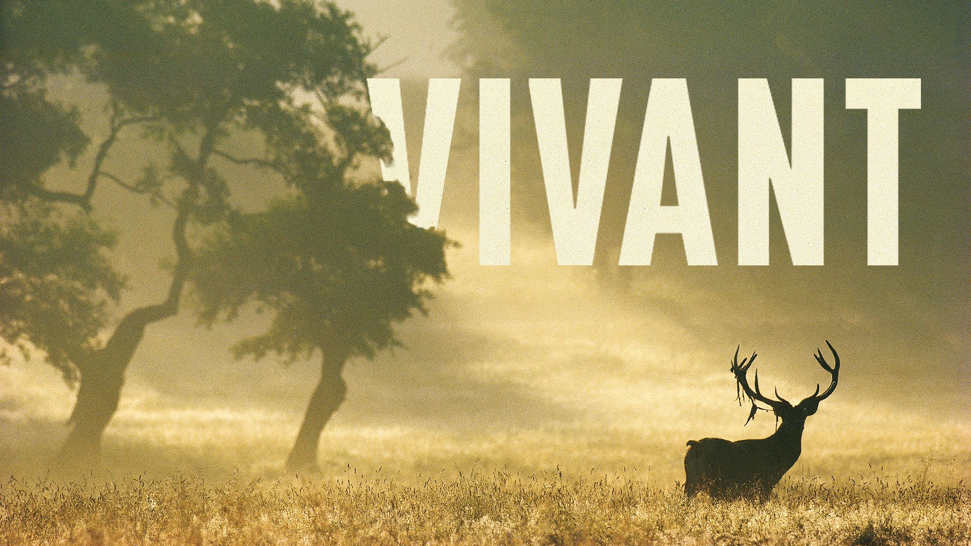 « VIVANT » – France 2